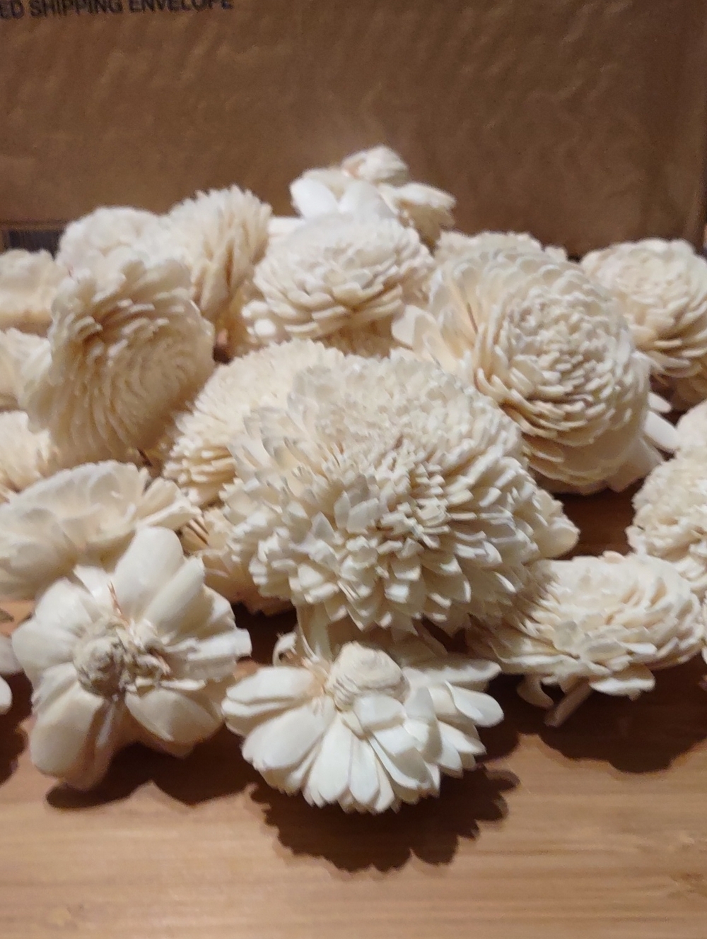 Cream Sola Wood Zinnia Flowers 37 Flowers